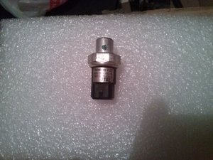 CAM03193.jpg