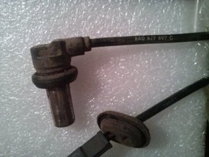 CAM03231.jpg