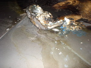 DSC00933.JPG
