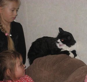 Котофей1.JPG