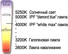 шкала.jpg