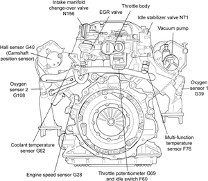 rear.gif