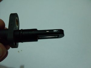 SDC10515.jpg