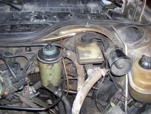 100_2294.jpg
