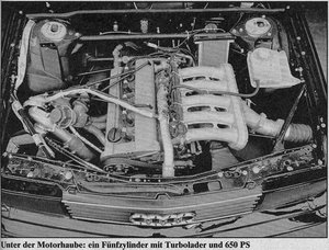 talla8.jpg
