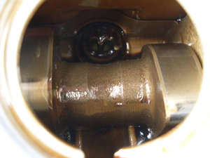 SDC10539.JPG
