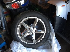 IMG_3437.JPG
