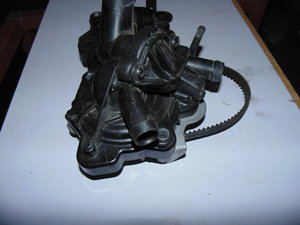 DSC05310.JPG