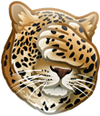 128.png