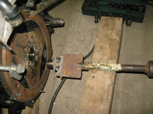 IMG_1654.JPG