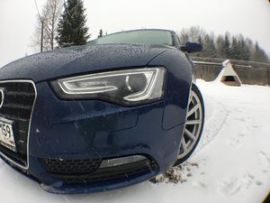 IMG_2524.JPG
