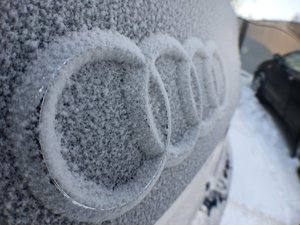IMG_2595.JPG