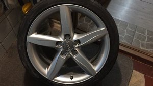 IMG-20170206-WA0010.jpg