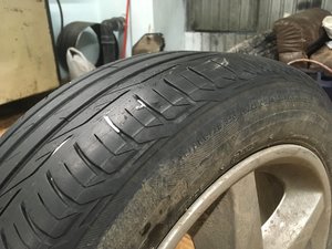 IMG_2798.JPG