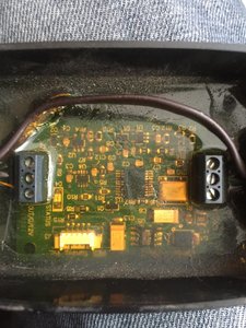 IMG_2205-10-02-17-11-31.jpeg