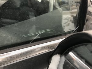IMG_3359.JPG