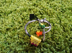 IMG_20161113_145037.jpg