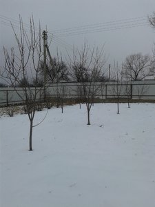 20170203_111455.jpg