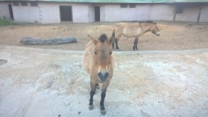 WP_20160509_19_41_01_Pro.jpg