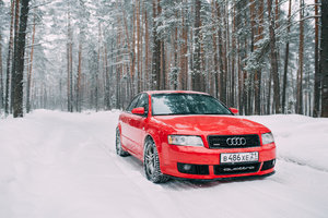 DSC_0207_Lightroom_Edit_Version_by_Denis_Frolov_1.jpg