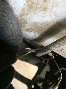 IMG_2984.JPG