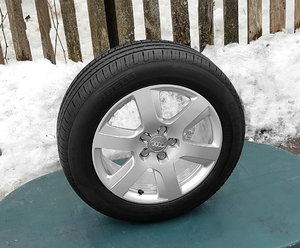 20170219_130620.jpg