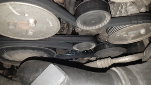 20170222_143312.jpg