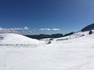 IMG_0402.JPG