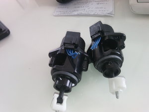 IMG_20170303_124326.jpg