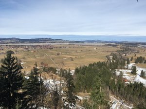 IMG_0541.JPG