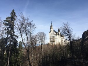 IMG_0545.JPG