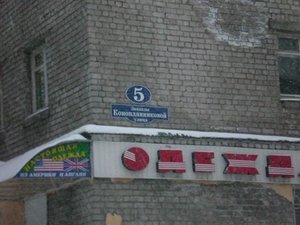 CIMG9543.JPG