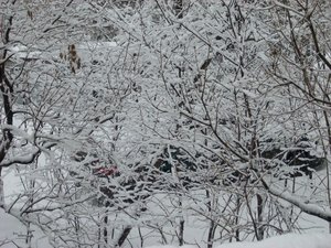 DSCN3122.jpg