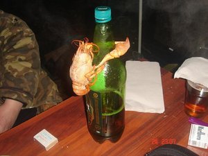 селитренное.JPG