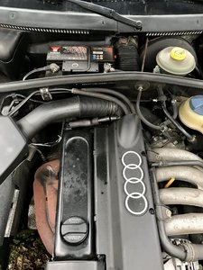 IMG_0093.JPG