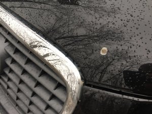 IMG_0326.JPG