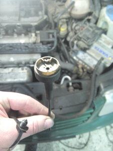 IMG_20170310_212258.jpg