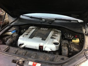 IMG_6463.JPG