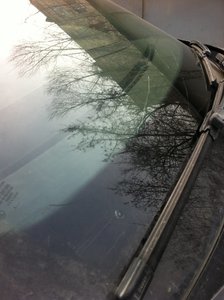 IMG_6472.JPG