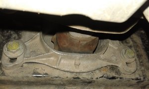 20170315_102026.jpg