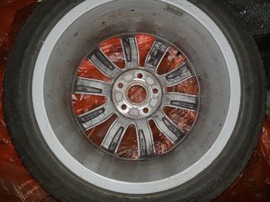 20170316_113235.jpg