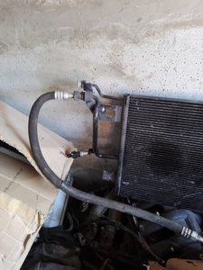IMG_20170315_111507.jpg