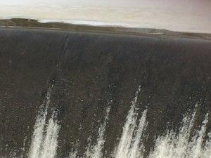 IMG_1793.JPG