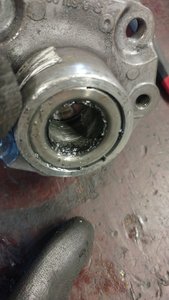 20170311_155518.jpg