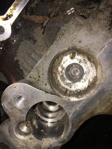 IMG_0224.JPG