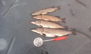 20170317_152030.jpg