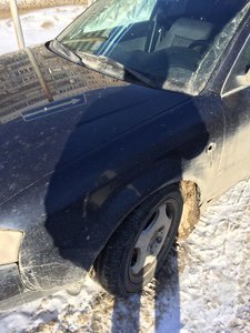 IMG_2781.JPG