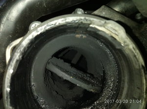 P70320-210414[1].jpg