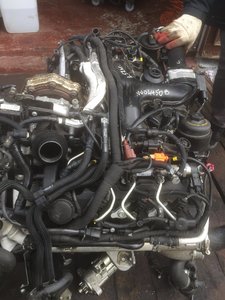 IMG_4137-27-03-17-13-44.jpeg