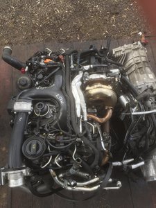 IMG_4143-27-03-17-13-44.jpeg
